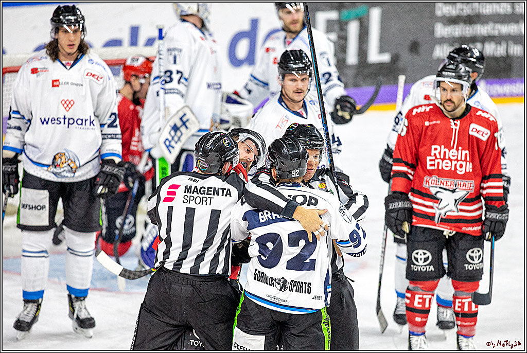 DEL; Koelner Haie - Straubing Tigers; Koeln, 17.11.2019
